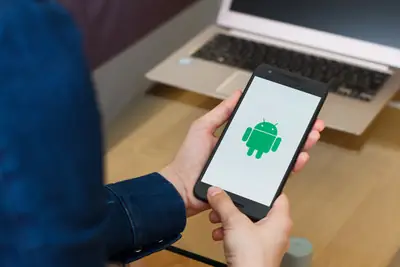 Person holding a smartphone showing a photo